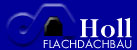 Dachdecker Sachsen-Anhalt:  Holl Flachdachbau GmbH & Co. KG Isolierungen