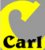 Dachdecker Thueringen: Firma Carl GmbH & Co. KG